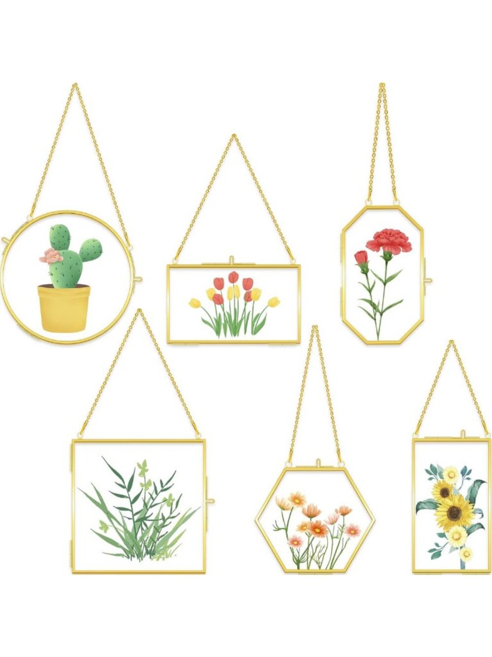 6 Pcs Brass Glass Frames for Pressed Flowers & Dried Plants - Floating Wall Art
